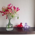 10903775_1520697174848845_1862970741_a