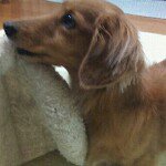 Profile_201736340_75sq_1343787259