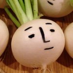 11018351_429120033914004_2083553715_a