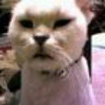 Profile_277712449_75sq_1356800278