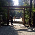 11137920_867311020002182_393561367_a