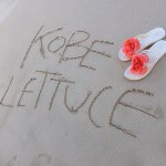 11176249_1603778719864511_1312265568_a