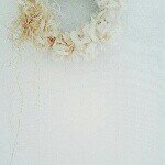 Profile_289355687_75sq_1391649456