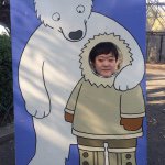 10914244_1556166451319670_158099488_a