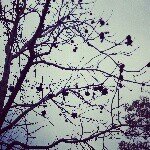 Profile_226183858_75sq_1393988091