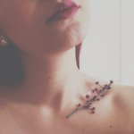 11201560_808993962521458_839791507_a