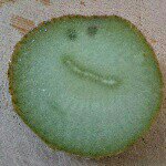 10958134_402470129924490_1422580355_a