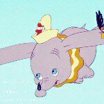 11352360_1644866269077831_714589754_a