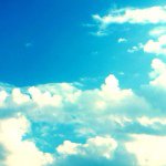 11326565_923096757748217_2095611916_a