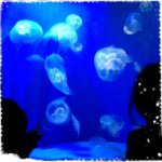 Profile_244648198_75sq_1376294167