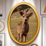 10990577_971831176163363_1333620311_a