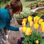 10903653_398330276996568_249556498_a