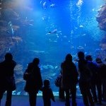 10560937_722476857799592_372622422_a