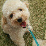 11195764_351397015053812_288839537_a