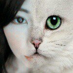 10958713_1534350723519647_2062751274_a