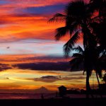 10706832_338088769695753_1901452868_a