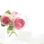 11325073_1657968464431863_1827914267_a