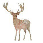 Profile_422741929_75sq_1376348248