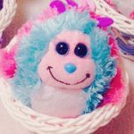 11355006_1604990829784026_2080662408_a