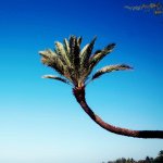 11005105_748319385283983_1945677140_a