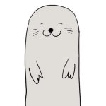 11201577_1467685583523674_846853339_a