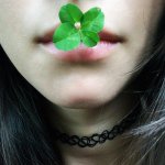 11357529_845469142194297_1035748121_a