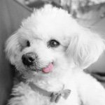 10948910_763024387115548_1223706937_a