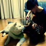 11098410_1570273686593945_1248491503_a