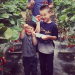 11249340_1576713805950753_22012539_a