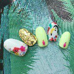 11203331_451315168371887_128220308_a