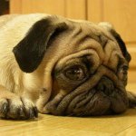 Profile_513932124_75sq_1377060227