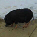 Profile_628850818_75sq_1392726407