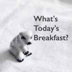 11282631_101263946878744_1381821205_a