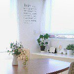 11249280_1589926037953046_477230111_a