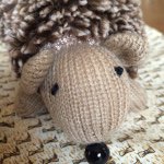 11008102_1417297225233173_232299119_a