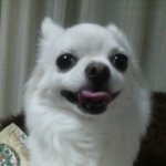 Profile_526689154_75sq_1377612507