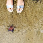 11419109_1621363094778290_1948425394_a