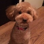 Profile_1181073329_75sq_1396884428