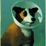 Profile_2577993_75sq_1395416701