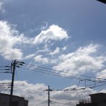 11374755_1591984591056755_1512979244_a