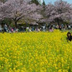 11007785_624349044332920_1629585280_a