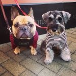 Profile_352229058_75sq_1388760997