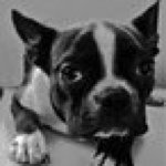 Profile_16455979_75sq_1365186920