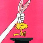 11328424_1614995878746966_2106198241_a