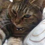 Profile_533626304_75sq_1377994786