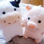 11417272_856338147774586_1151469949_a