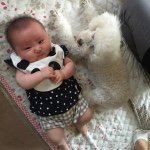 11248195_474580232708765_151906674_a