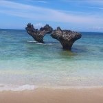 Profile_899555153_75sq_1388544702