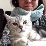 10549597_1409648759351140_369190165_a