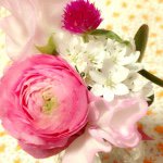 11189429_1579648372310510_1133824770_a